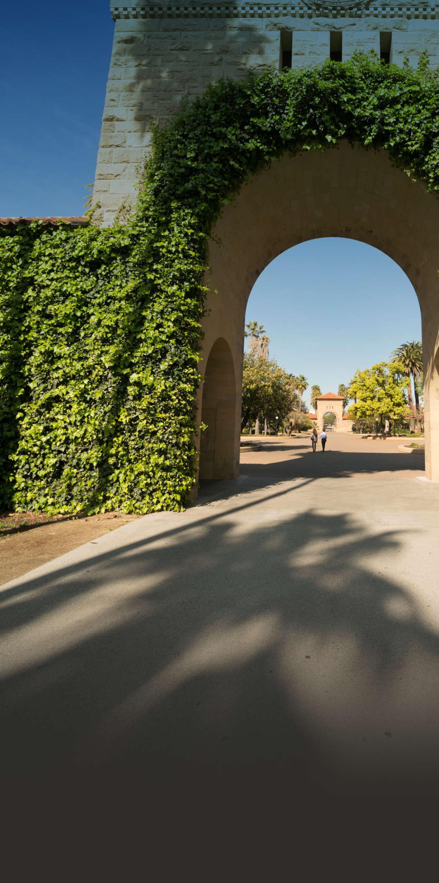 Stanford Pass